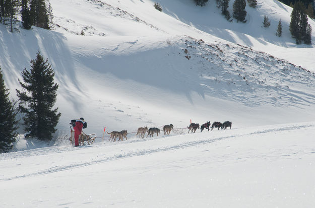 On the trail. Photo by Chris Havener.