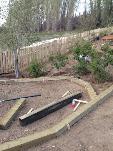 Landscaping logs. Photo by Ana Cuprill.