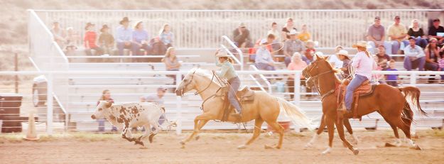 Calf Roping. Photo by Tara Bolgiano, Blushing Crow Photography.