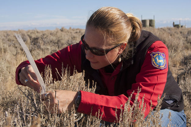 Jill Randall. Photo by Wyoming Game & Fish.