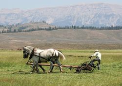 Team work. Photo by Joy Ufford, Sublette Examiner.