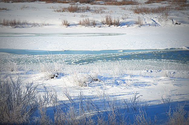 The Frozen Green. Photo by Terry Allen.