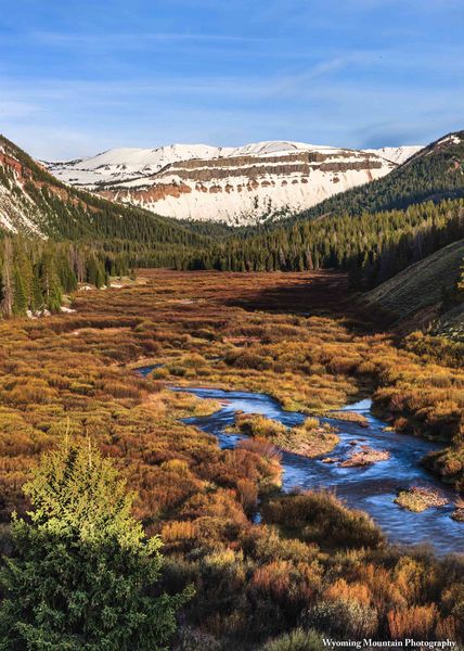 South Cottonwood Valley. Photo by Dave Bell.