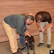 Quick Response Dog Rescue. Photo by Terry Allen.