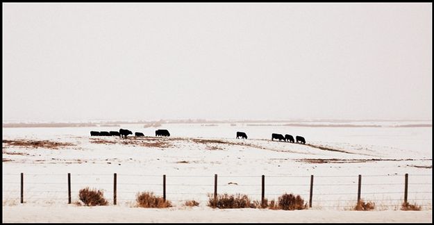 A Stone's Throw From the Track. Photo by Terry Allen.