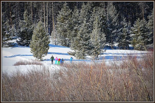 A Nordic Stroll. Photo by Terry Allen.