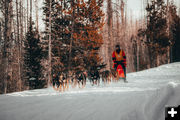 Big Piney - Marbleton race. Photo by Pedigree Sled Dog Race.