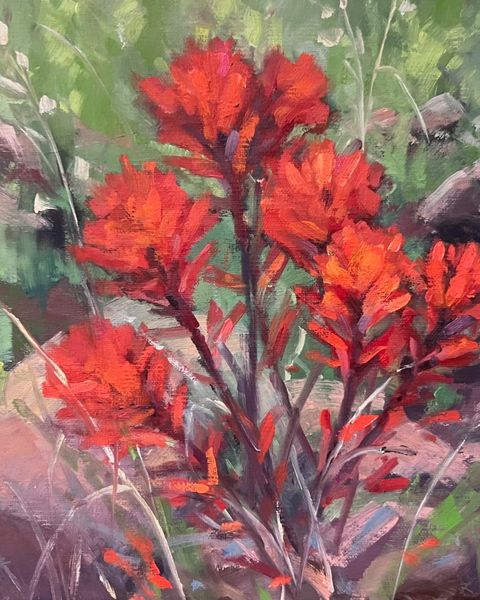 Spring Paintbrush. Photo by Museum of the Mountain Man.
