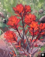 Spring Paintbrush. Photo by Museum of the Mountain Man.