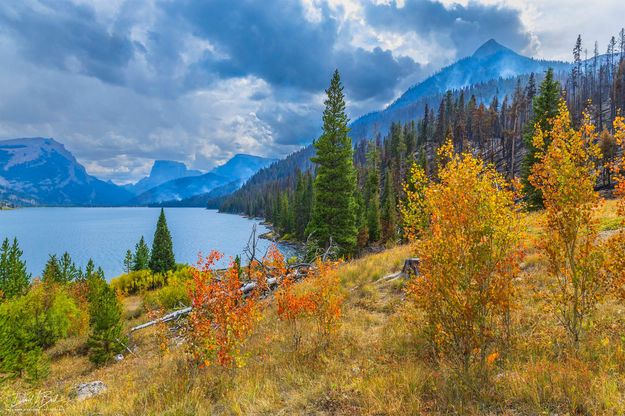 Lake edge. Photo by Dave Bell.