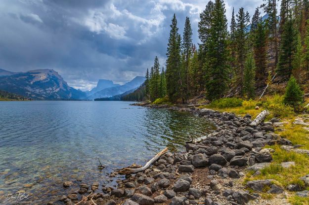 Lakeshore. Photo by Dave Bell.
