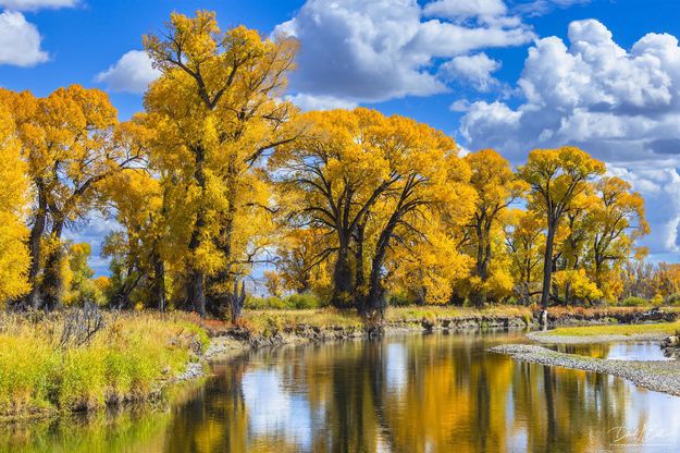 Along the Green. Photo by Dave Bell.