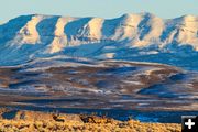 Sawtooth Elk January 15. Photo by Dave Bell.